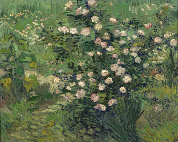 Rosebush In Blossom Vincent Willem Van Gogh Oil Painting